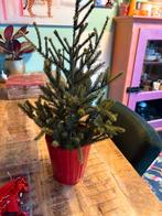 Klein kerstboompje met pot en versiering van Ikea, Diversen, Kerst, Ophalen
