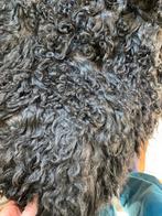 Nieuwe schapenvacht, Ophalen of Verzenden, Nieuw, Zwart, Rechthoekig