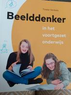 Tineke Verdoes - Beelddenker in het voortgezet onderwijs, Ophalen of Verzenden, Tineke Verdoes