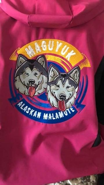 Sweaters  Vesten geborduurd met uw eigen tekst of logo  beschikbaar voor biedingen