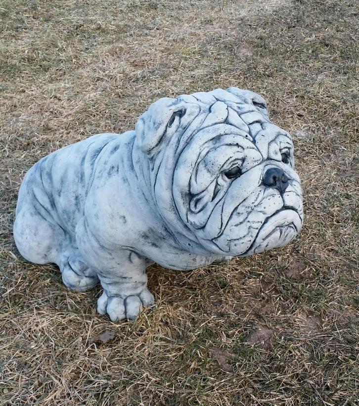 Prachtige Grote Engelse Bulldog Tuinbeelden, Tuin en Terras, Tuinbeelden, Nieuw, Dierenbeeld, Steen, Ophalen