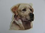 Grote vintage sticker van een Labrador Retriever hond, Ophalen of Verzenden, Zo goed als nieuw, Sticker