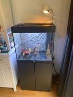Juwel Lido 120l (met accessoires), Dieren en Toebehoren, Vissen | Aquaria en Toebehoren, Ophalen, Gebruikt, Leeg aquarium