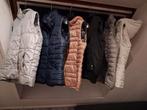 Bodywarmers mt M/40, Kleding | Dames, Bodywarmers, Ophalen, Gedragen, Maat 38/40 (M), Overige kleuren