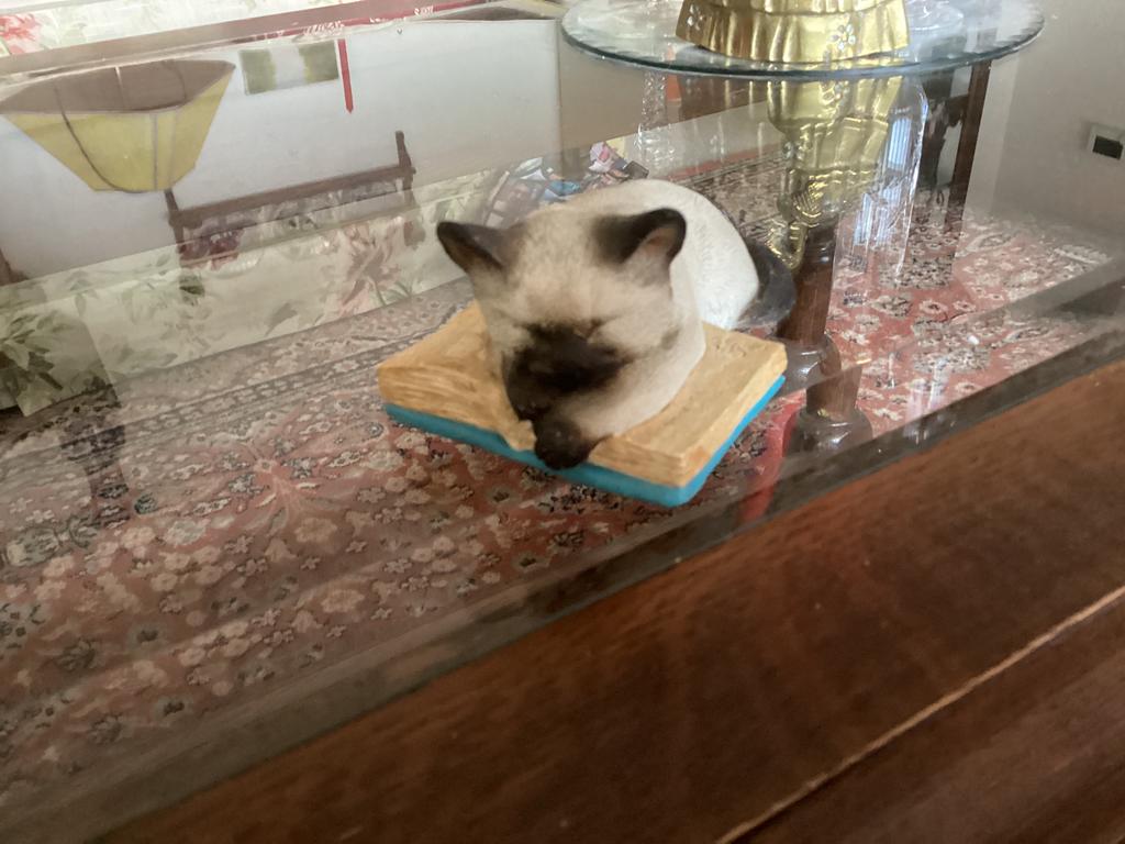 Siamese Poes slapend op boek // hoog 5.5x11 cm, Ophalen of Verzenden, Zo goed als nieuw, Dier