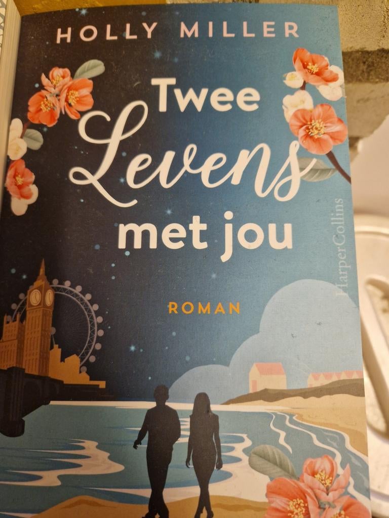 Verschillende romans, Boeken, Romans, Gelezen, Ophalen of Verzenden