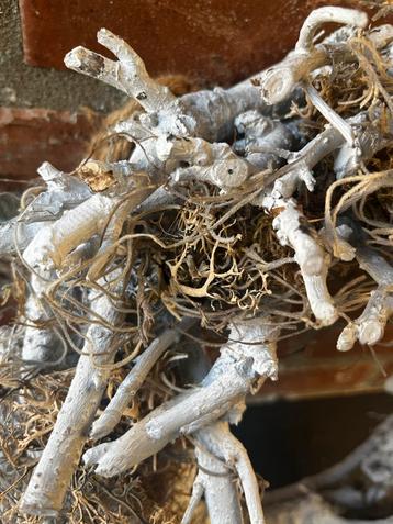 Decoratieve Krans van Takken beschikbaar voor biedingen