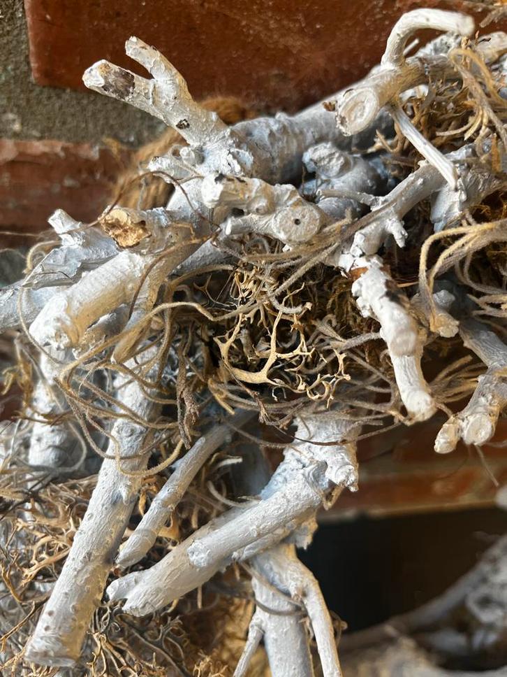 Decoratieve Krans van Takken, Huis en Inrichting, Woonaccessoires | Kransen, Gebruikt, Ophalen of Verzenden