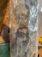 Grille, Ophalen, Nieuw, Audi, Bumper