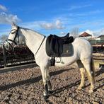 Te koop 2 jaar oud EDIX Tudor zadel 17.5 inc, Dieren en Toebehoren, Ophalen of Verzenden, Zo goed als nieuw, Dressuur