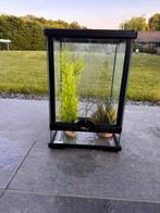 Terrarium 30x30x45 cm, Dieren en Toebehoren, Reptielen en Amfibieën | Toebehoren, Ophalen, Zo goed als nieuw, Terrarium of Paludarium