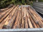 Kastanje palen gebruikt, Tuin en Terras, Palen, Balken en Planken, Ophalen of Verzenden, Zo goed als nieuw, Minder dan 180 cm
