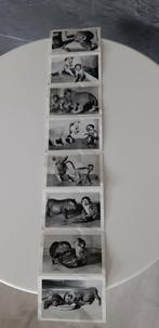 Artis amsterdam foto's  mapje, Verzamelen, Ophalen of Verzenden