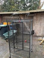 Te koop ruime vogel kooi, Dieren en Toebehoren, Vogels | Hokken en Kooien, Ophalen of Verzenden, Metaal, Vogelkooi