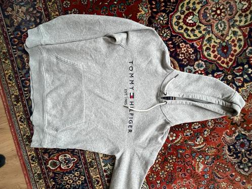 Tommy hilfiger trui sweater grijs maat M voor jongens, Kleding | Heren, Truien en Vesten, Zo goed als nieuw, Maat 48/50 (M), Grijs