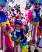 Prachtige prijswinnende carnaval loopgroep,, Ophalen of Verzenden, Zo goed als nieuw, Carnaval