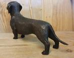Bronzen beeld / TECKEL / 35 cm lang / tekkel / reu, Ophalen of Verzenden, Nieuw, Hond of Kat, Beeldje of Figuurtje