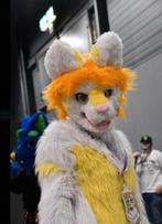 kat fursuit fullsuit, Maat 38/40 (M), Ophalen of Verzenden, Overige thema's, Kleding