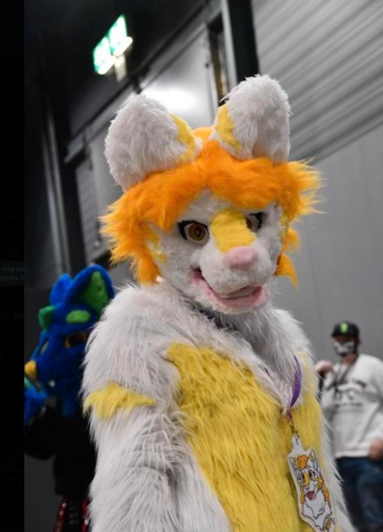 kat fursuit fullsuit, Kleding | Dames, Carnavalskleding en Feestkleding, Gedragen, Kleding, Overige thema's, Maat 38/40 (M), Ophalen of Verzenden