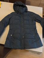 Tommy Hilfiger Winterjas Dames - Maat S, Kleding | Dames, Jassen | Winter, Ophalen, Zo goed als nieuw, Maat 36 (S), Zwart