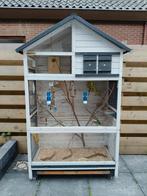 Volière met 5 grasparkieten., Dieren en Toebehoren, Vogels | Hokken en Kooien, Ophalen, Zo goed als nieuw, Volière