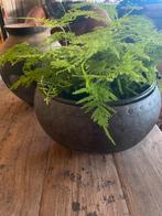 Oud ijzeren waterpot uit India, Tuin en Terras, Bloempotten, Ophalen, Rond, Zo goed als nieuw, Minder dan 25 cm