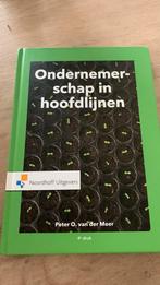 Peter van der Meer - Ondernemerschap in hoofdlijnen, Boeken, Ophalen of Verzenden, Zo goed als nieuw, Management, Peter van der Meer