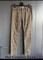 Panter broek. Maat S., Bruin, Ophalen of Verzenden, Zo goed als nieuw, Maat 36 (S)