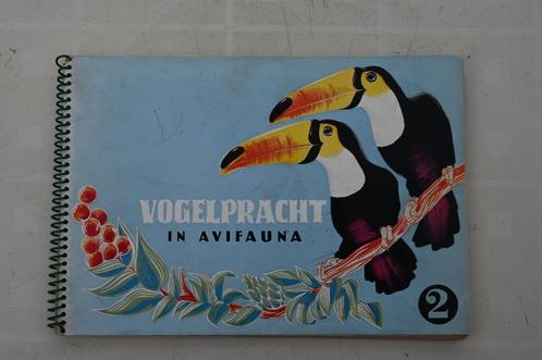 Vogelpracht in Avifauna plaatjes album Taminiau's deel 2 + 3, Boeken, Dieren en Huisdieren, Gelezen, Vogels, Ophalen of Verzenden