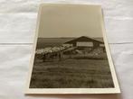 Foto van een schaapskooi, 1973, 1960 tot 1980, Gebruikt, Foto, Ophalen of Verzenden