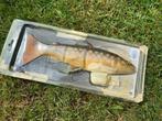 Savage Gear 3D Line Thru Trout 30 cm MS brown trout, Ophalen of Verzenden, Zo goed als nieuw, Overige typen