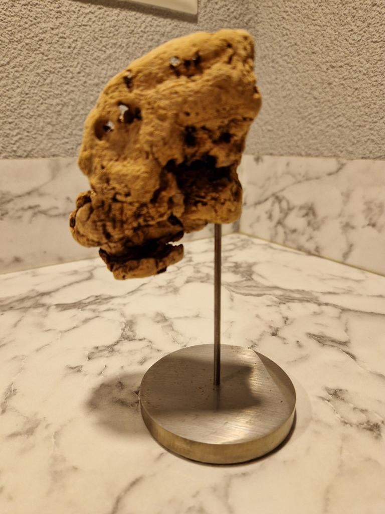 Drijfhout Kunst Object op Standaard, Tuin en Terras, Tuinbeelden, Gebruikt, Abstract beeld, Hout, Ophalen of Verzenden