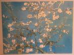Ixxi Amandelbloesem Van Gogh 160x120cm, 125 cm of meer, Ophalen of Verzenden, Zo goed als nieuw, Schilderij
