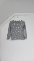 Longsleeve maat 110/116, Meisje, H&M, Ophalen of Verzenden, Zo goed als nieuw