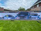 Race auto’s op groot doek, Ophalen of Verzenden, Gebruikt