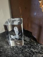 Glazen Kubus met Gegraveerde Dieren, Overige kleuren, Ophalen of Verzenden, Minder dan 50 cm, Glas