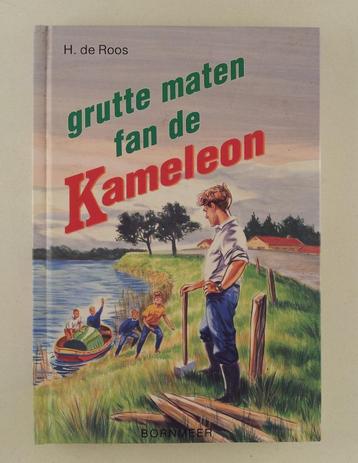 Roos, H. de - Grutte maten fan de kameleon beschikbaar voor biedingen
