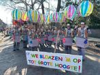 Loopgroep carnaval luchtballonnen 16 personen, Ophalen, Carnaval, Kleding, Onbekend