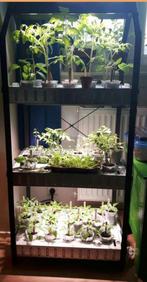 Kweekkast Ikea Krydda 3 etages met LED en opkweekbak!, Tuin en Terras, Kweekspullen, Ophalen, Kweekkast