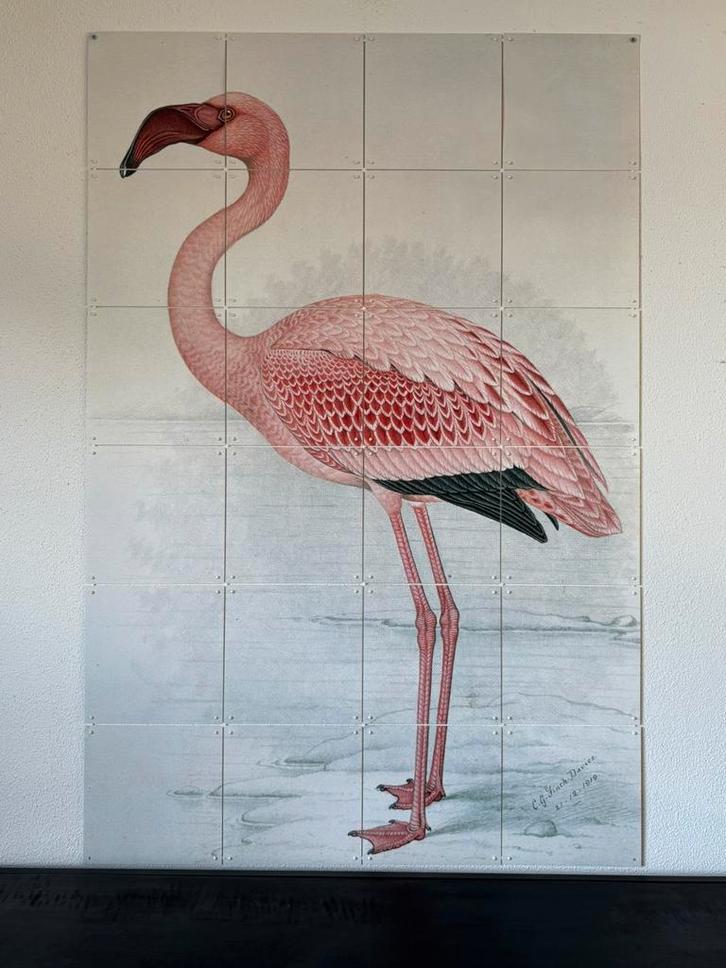 IXXI Lesser Flamingo, Antiek en Kunst, Kunst | Schilderijen | Modern, Ophalen