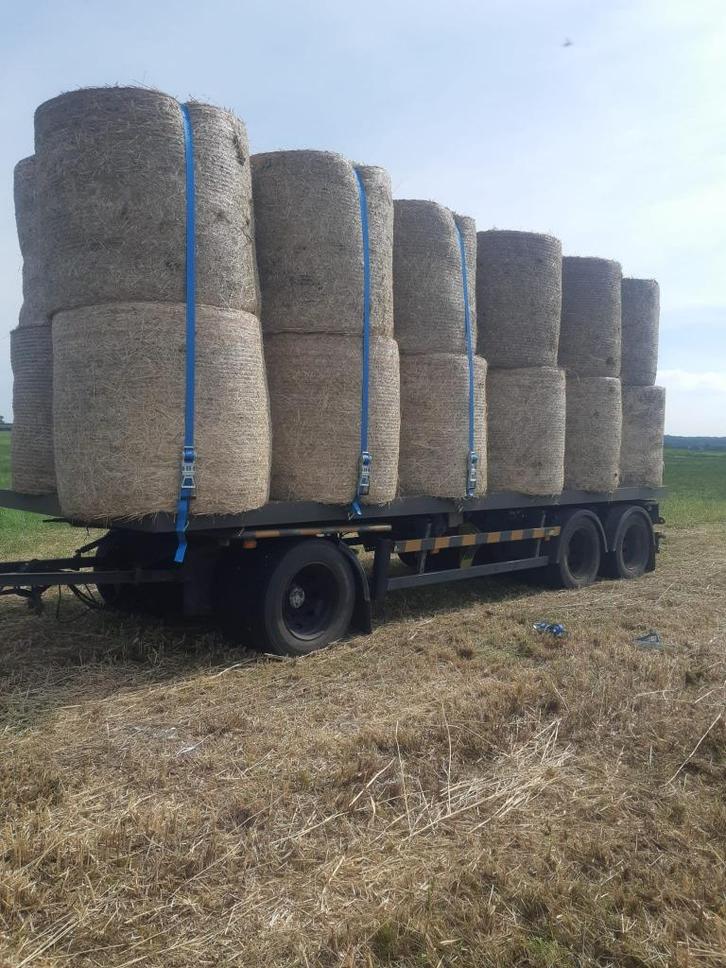 strooisel uit natuur i.p.v. stro, Dieren en Toebehoren, Overige Dieren-accessoires, Nieuw, Ophalen