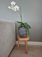 HK Living bijzettafel boom naturel, Huis en Inrichting, Ophalen of Verzenden, Gebruikt, Hout