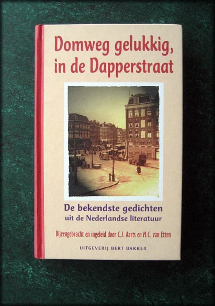 DOMWEG GELUKKIG IN DE DAPPERSTRAAT - Gedichten, Boeken, Gedichten en Poëzie, Zo goed als nieuw, Verzenden