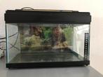 Aquarium, Dieren en Toebehoren, Vissen | Aquaria en Toebehoren, Ophalen, Gebruikt, Leeg aquarium