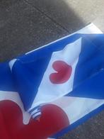 Friese vlag.vaandel.wimpel, Ophalen of Verzenden, Zo goed als nieuw