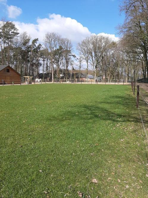 Paardenpaddock met stalling/Schuilstal, Dieren en Toebehoren, Stalling en Weidegang, Stalling, 4 paarden of pony's of meer