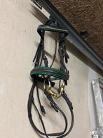 Te koop shetlander hoofd stel, Ophalen of Verzenden, Overige soorten