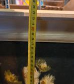 Evert Moll bloemstilleven schilderij madelief, Antiek en Kunst, Ophalen