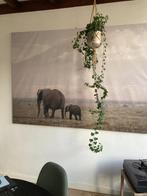 2 canvas schilderijen Ikea, Huis en Inrichting, Ophalen, Gebruikt, 125 cm of meer, Schilderij