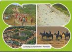 D21 Gelopen Ansichtkaart Camping Julianahoeve Renesse, Ophalen of Verzenden, 1980 tot heden, Gelopen